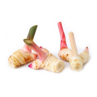 Fresh galangal 100 gr