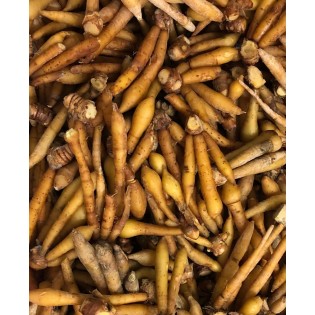 กระชายสด  (Krachai) 100gr approx.