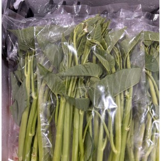 ผักบุ้งแก้วสด ผักบุ้งเย็นตาโฟสด 100 gr