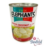 Chataigne d'eau au sirop 565 gr Elephants